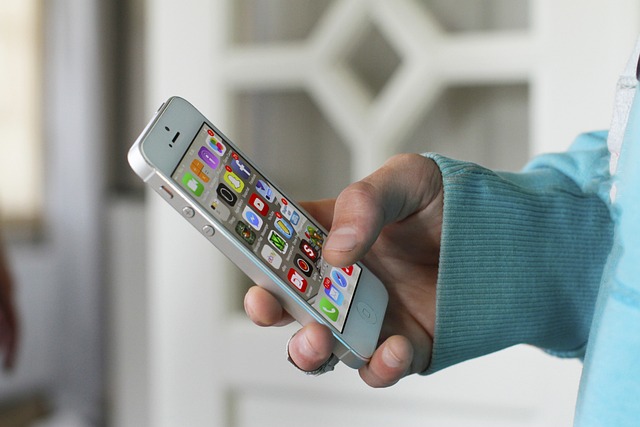 Custom Mobile App