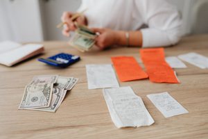 Debt Management Software
